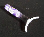 buck 02 photo